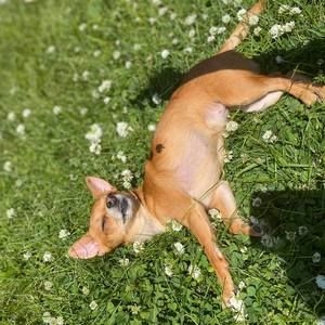 Meet your Posher, Shayne